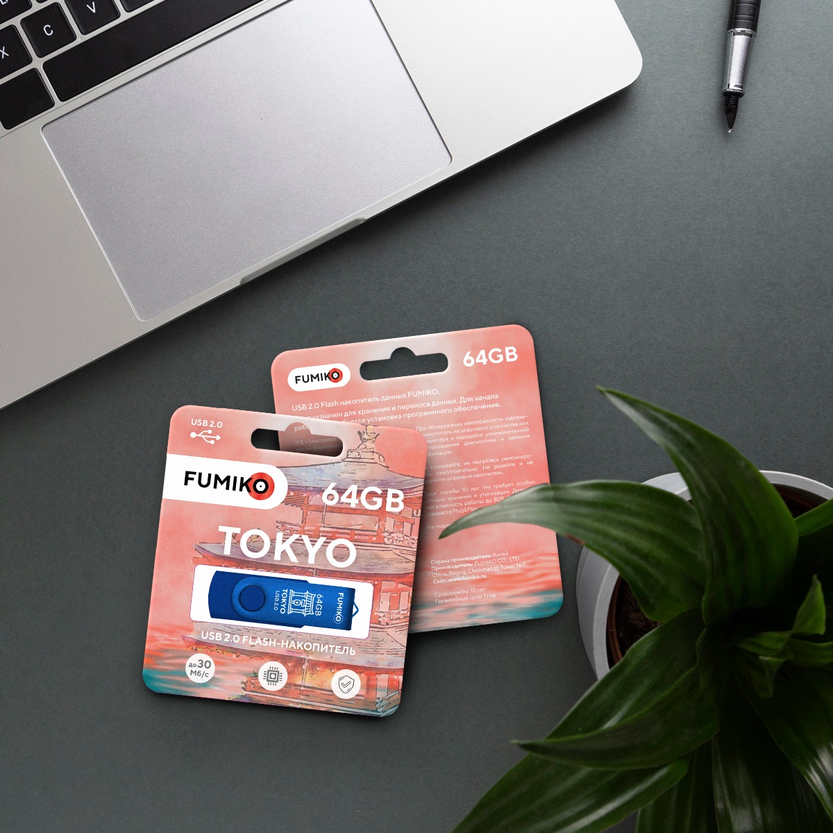 Флеш накопитель USB 2.0 64Gb FUMIKO TOKYO (FTO-10, 30MB/s, blue)