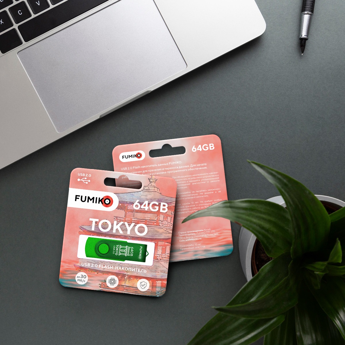 Флеш накопитель USB 2.0 64Gb FUMIKO TOKYO (FTO-20, 30MB/s, green)