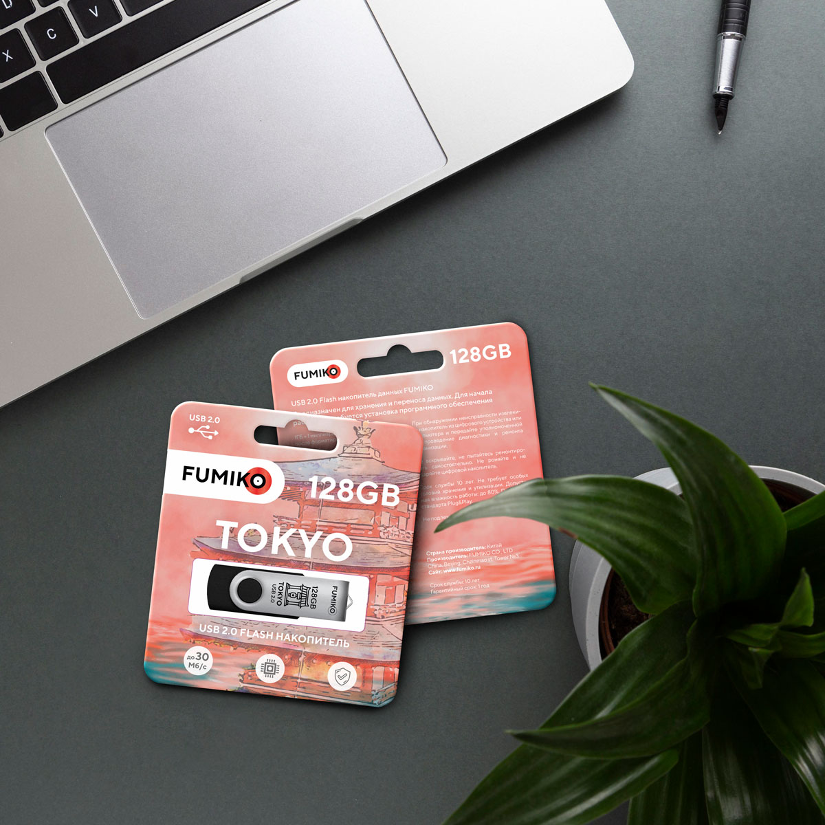 Флеш накопитель USB 2.0 128Gb FUMIKO TOKYO (FTO-37, 30MB/s, black)