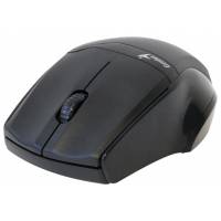 Мышь беспроводная Genius NS-6010 (optical, 1000dpi, AA/AAA, black)