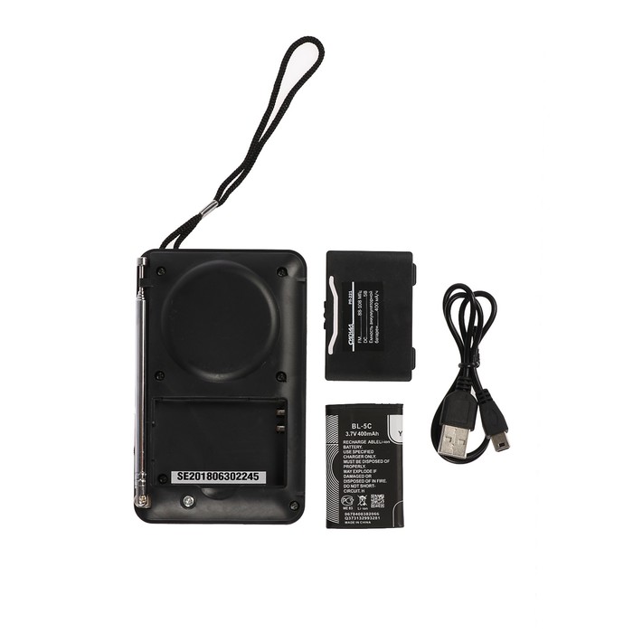 Радиоприемник Сигнал РП-221 (3W, портативный, аккумулятор 400mAh, USB, MicroSD, MP3, выход на наушники, black)