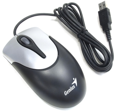 Мышь Genius NetScroll 100 V2 (USB, optical, 1200dpi, black-white)
