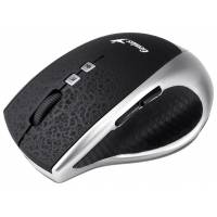Мышь беспроводная Genius DX-8100 Tattoo (optical, 1600dpi, AA, black-silver)