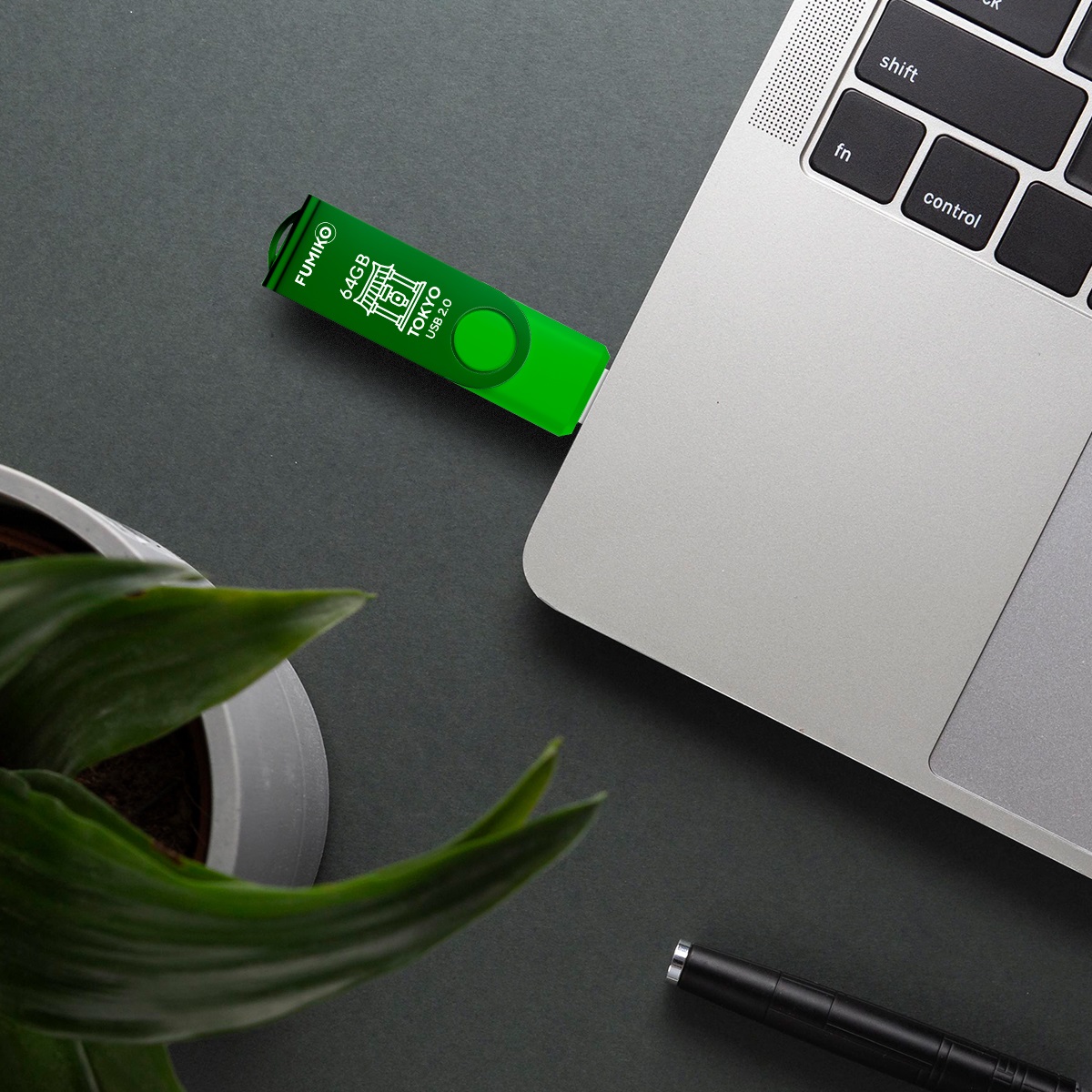 Флеш накопитель USB 2.0 64Gb FUMIKO TOKYO (FTO-20, 30MB/s, green)