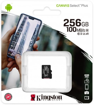 Карта памяти SDXCmicro Card 256Gb Kingston (SDCS2/256GBSP, Class 10, UHS-I U3, 100MB/s, без адаптера)