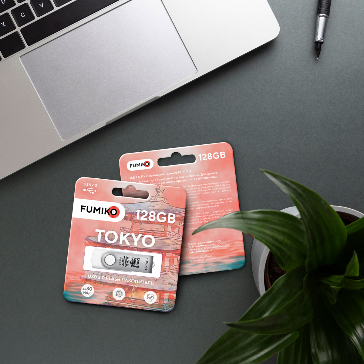 Флеш накопитель USB 2.0 128Gb FUMIKO TOKYO (FTO-36, 30MB/s, white)