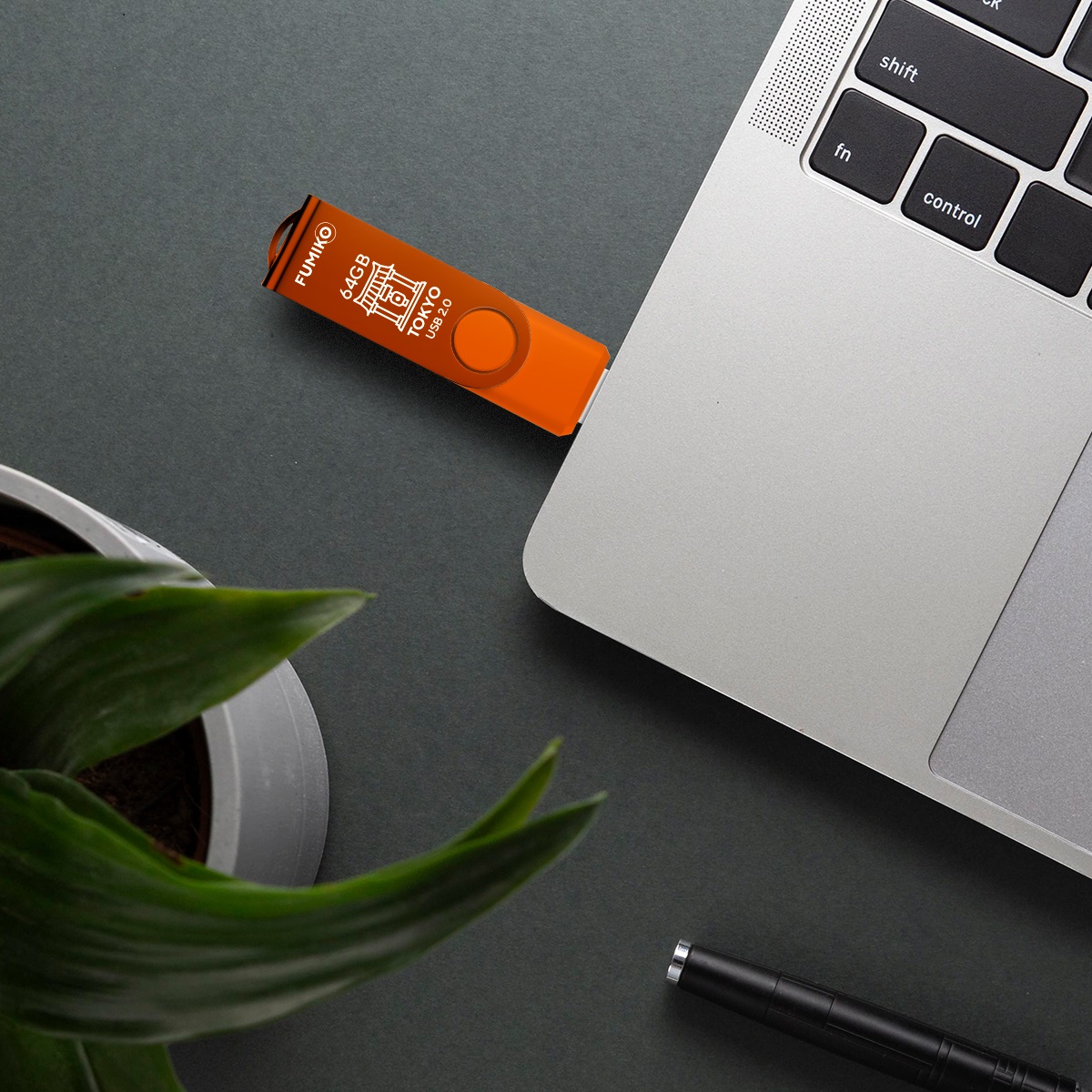 Флеш накопитель USB 2.0 64Gb FUMIKO TOKYO (FTO-35, 30MB/s, orange)