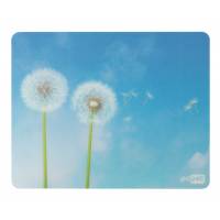 Коврик для мыши PC Pet (AM02, Dandelion, пластиковый, антимикробный, 240x190x1mm)