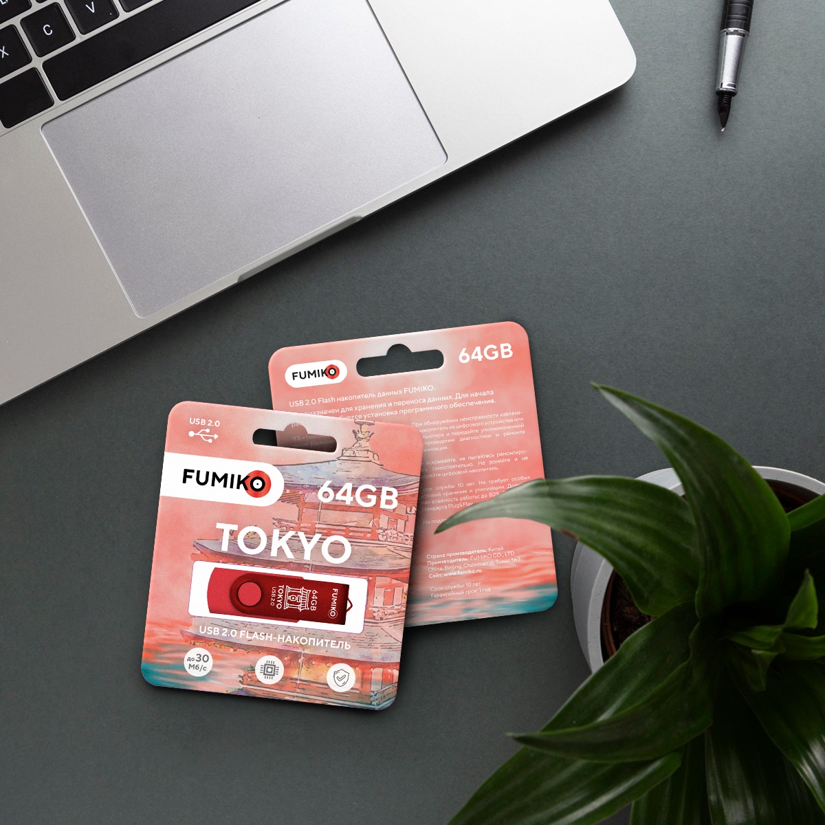 Флеш накопитель USB 2.0 64Gb FUMIKO TOKYO (FTO-15, 30MB/s, red)
