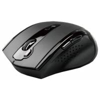 Мышь беспроводная A4Tech G10-810F-1 (optical, 2000dpi, AA, black)