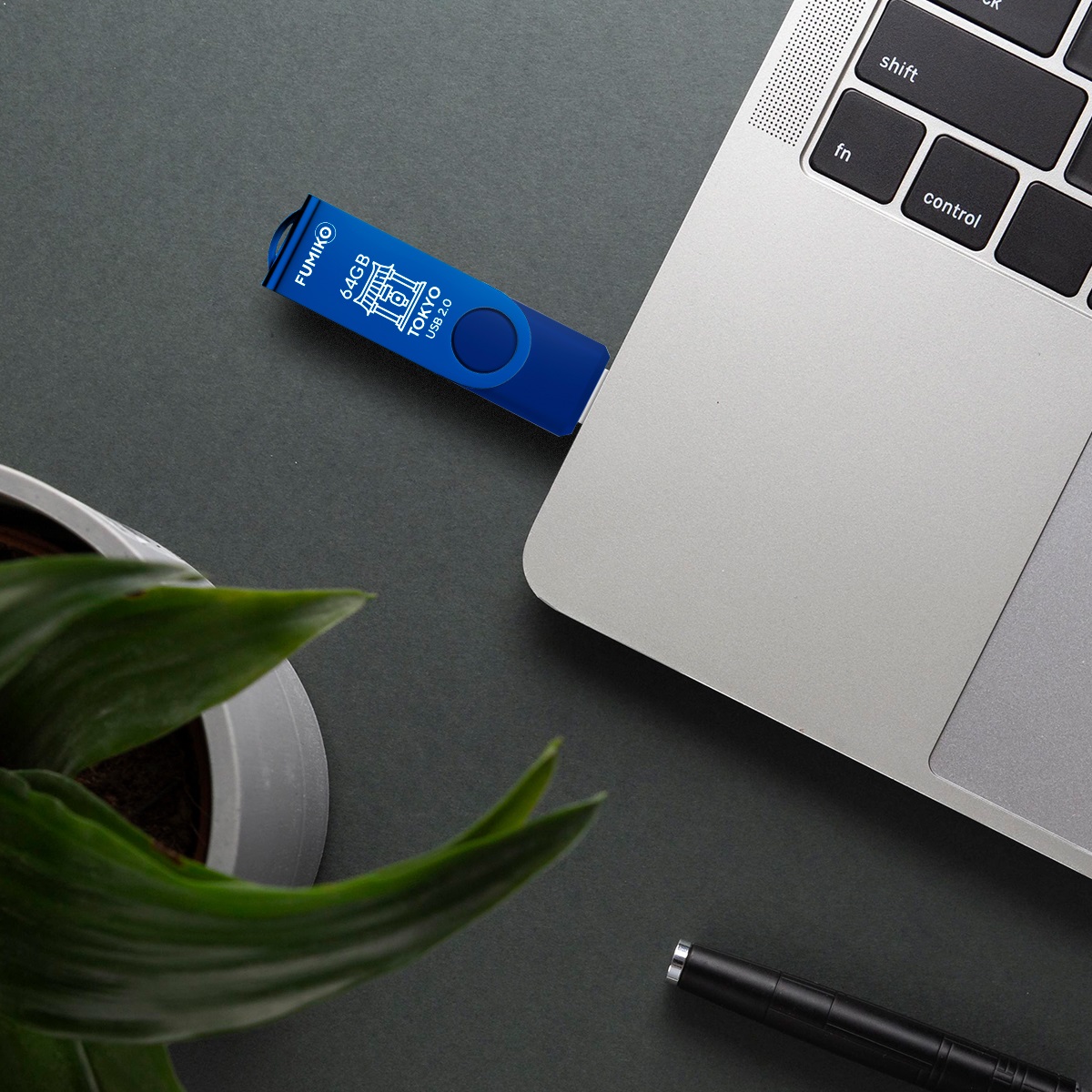 Флеш накопитель USB 2.0 64Gb FUMIKO TOKYO (FTO-10, 30MB/s, blue)