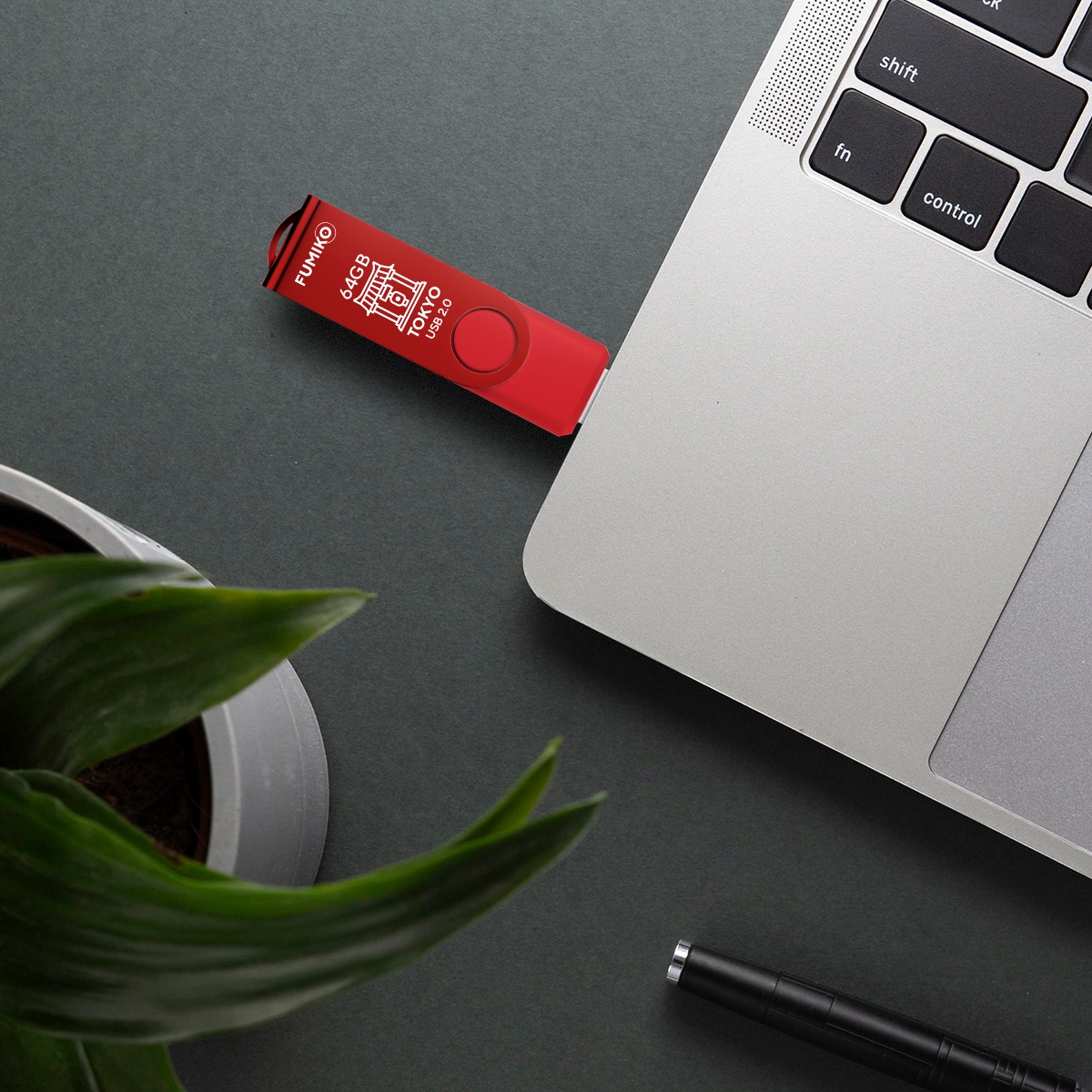 Флеш накопитель USB 2.0 64Gb FUMIKO TOKYO (FTO-15, 30MB/s, red)