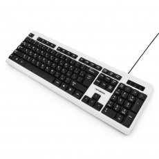 Клавиатура Гарнизон GK-110L (USB, подсветка, black-white)