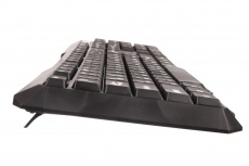 Клавиатура ExeGate LY-404 (USB, black)