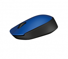 Мышь беспроводная Logitech M171 (optical, 1000dpi, AA, blue-black)