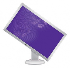 Монитор Benq 24" RL2450HT white