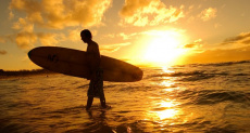 Коврик для мыши Hama (H-54728, Surfer, пластиковый на губчатой основе, 220x180x3mm)