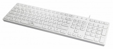 Клавиатура Oklick 556S (USB, защитная плёнка, white)