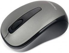 Мышь беспроводная Гарнизон GMW-450-1 (optical, 1000dpi, 2xAAA, soft-touch, black-grey)