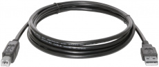 Кабель USB 2.0 Am - Bm 3.0m (USB4-10, black) Defender