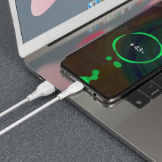 Кабель USB 2.0 Am - Type-C 1.0m (BX51 Triumph, 3A, white) Borofone