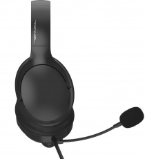 Наушники A4Tech Fstyler FH280U (полноразмерные закрытые, подключение по USB, с микрофоном, регулятор, 2m, black)