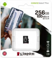 Карта памяти SDXCmicro Card 256Gb Kingston (SDCS2/256GBSP, Class 10, UHS-I U3, 100MB/s, без адаптера)