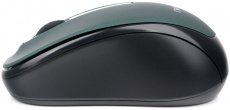 Мышь беспроводная Гарнизон GMW-450-2 (optical, 1000dpi, 2xAAA, soft-touch, black-green)