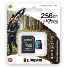 Карта памяти SDXCmicro Card 256Gb Kingston (SDCG3/256GB, Class 10, UHS-I U3, 170MB/s, адаптер SD)