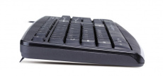Клавиатура Genius KB-110X (USB, black)