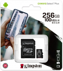 Карта памяти SDXCmicro Card 256Gb Kingston (SDCS2/256GB, Class 10, UHS-I U3, 100MB/s, адаптер SD)