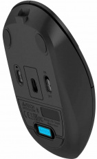Мышь беспроводная A4Tech Fstyler FG15C Air2 (optical, 1200dpi, аккумулятор, black)