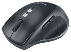 Мышь беспроводная Genius DX-8100 Tattoo (optical, 1600dpi, AA, black-blue)
