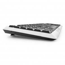 Клавиатура Гарнизон GK-110L (USB, подсветка, black-white)